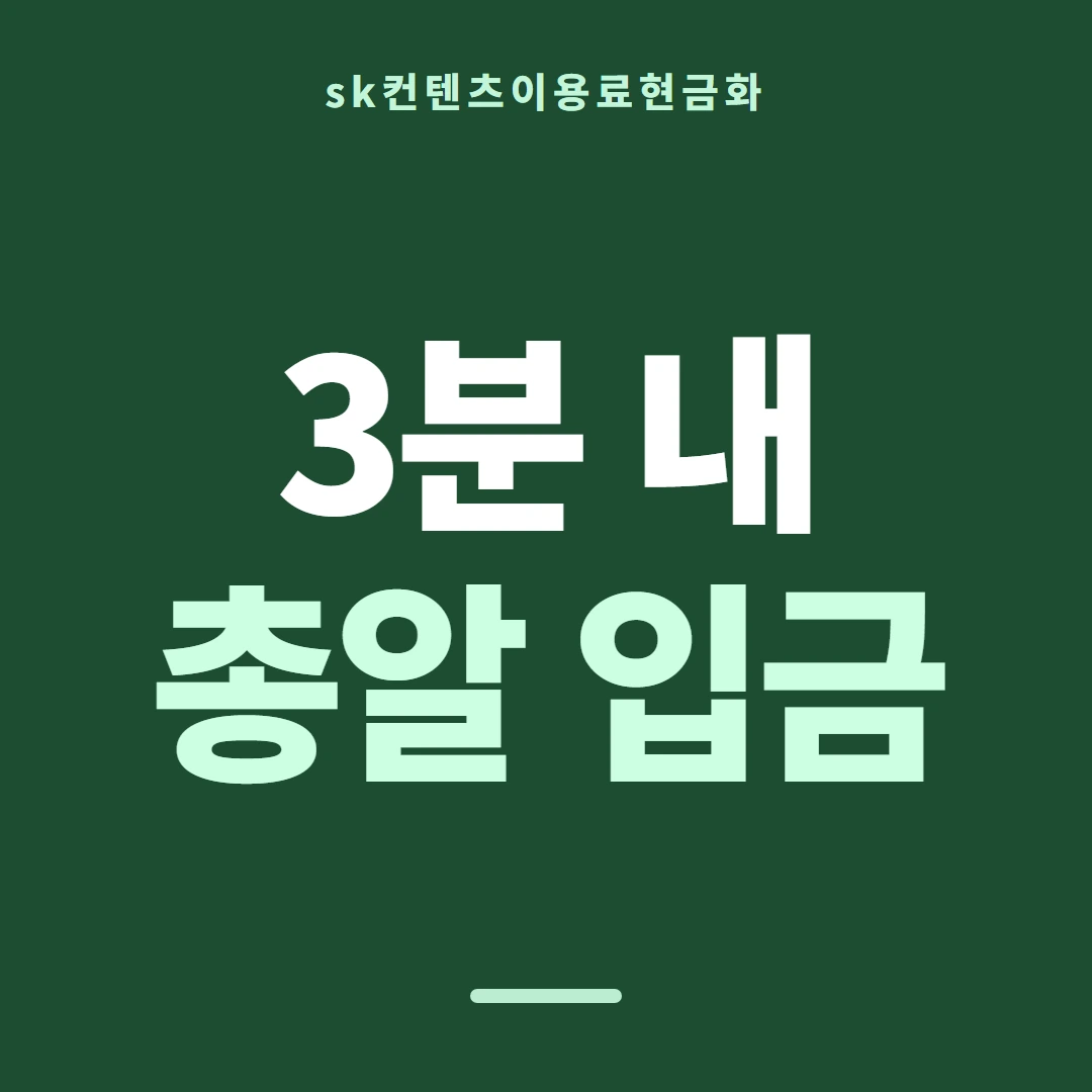 품티켓 SK 콘텐츠이용료 판단의 기준점 안내 이미지